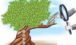 中央督导组是什么级别