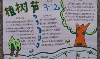 植树节手抄报画画大全