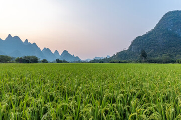 实测分析“微乐小程序辅助器免费2.0”(原来确实是有挂)